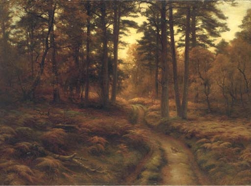 Evening. The Wild Woods Among